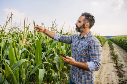 Agronom - praca, zarobki, doświadczenie, zatrudnienie, przyszłość