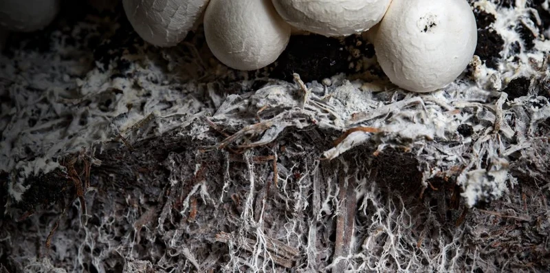 Specjalista ds. kadr i płac (m/k)