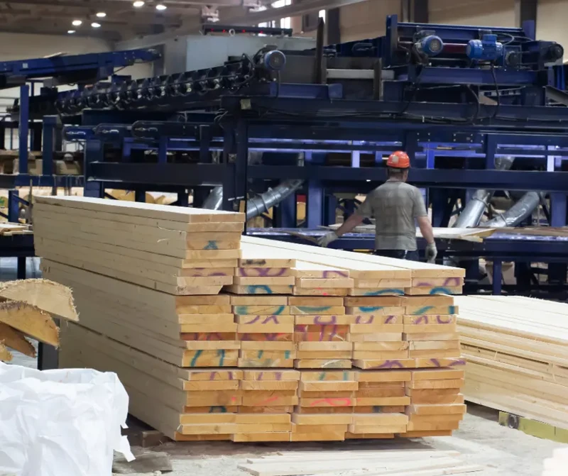 Stała praca w tartaku - DANIA