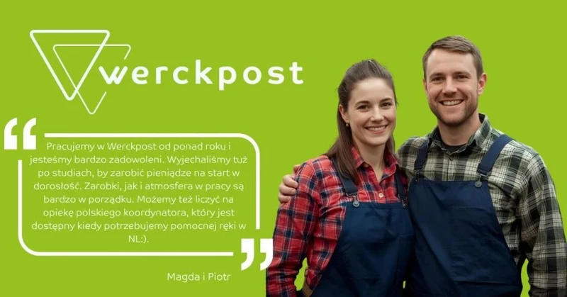 Zbiory papryki | €16,16 + bonusy | Praca w szklarni | Zakwaterowanie + darmowy transport do pracy