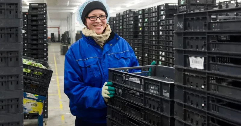 MAGAZYNIER/KA NA MROŹNI