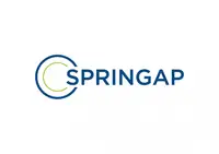 SPRINGAP s.c.