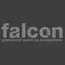 Falcon Jonatan Widawski