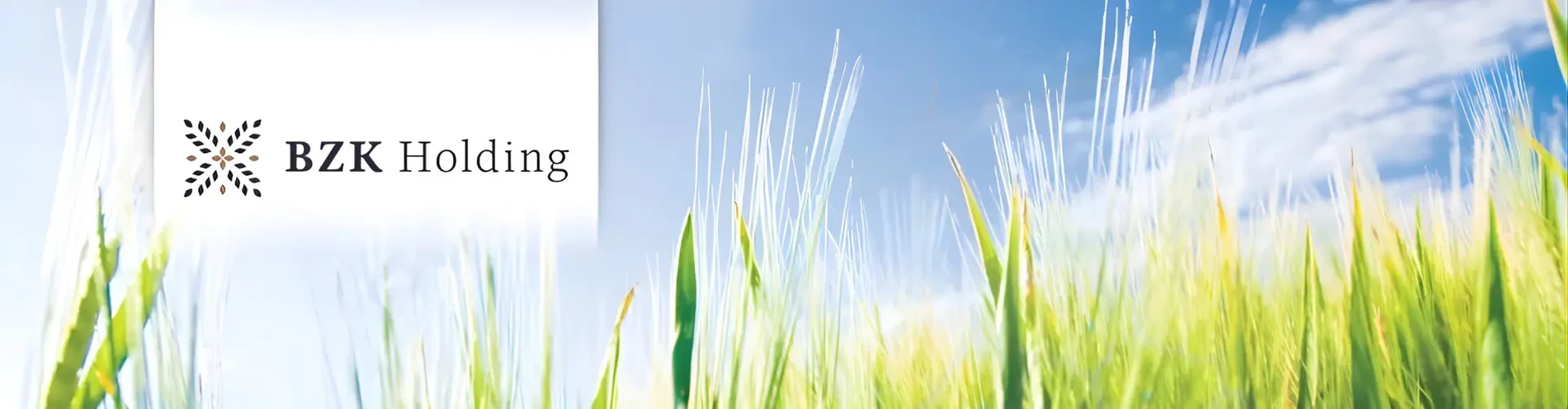 BZK i Wspólnicy Sp. z.o.o