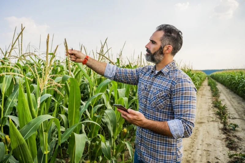 Agronom - praca, zarobki, doświadczenie, zatrudnienie, przyszłość